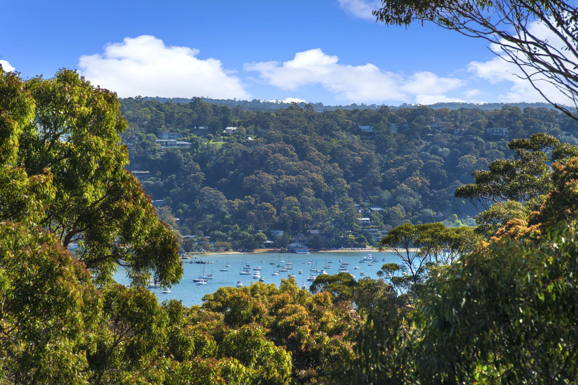 6 Cooinda Place Bilgola Plateau NSW 2107, Bilgola Plateau - Thumbnail 7
