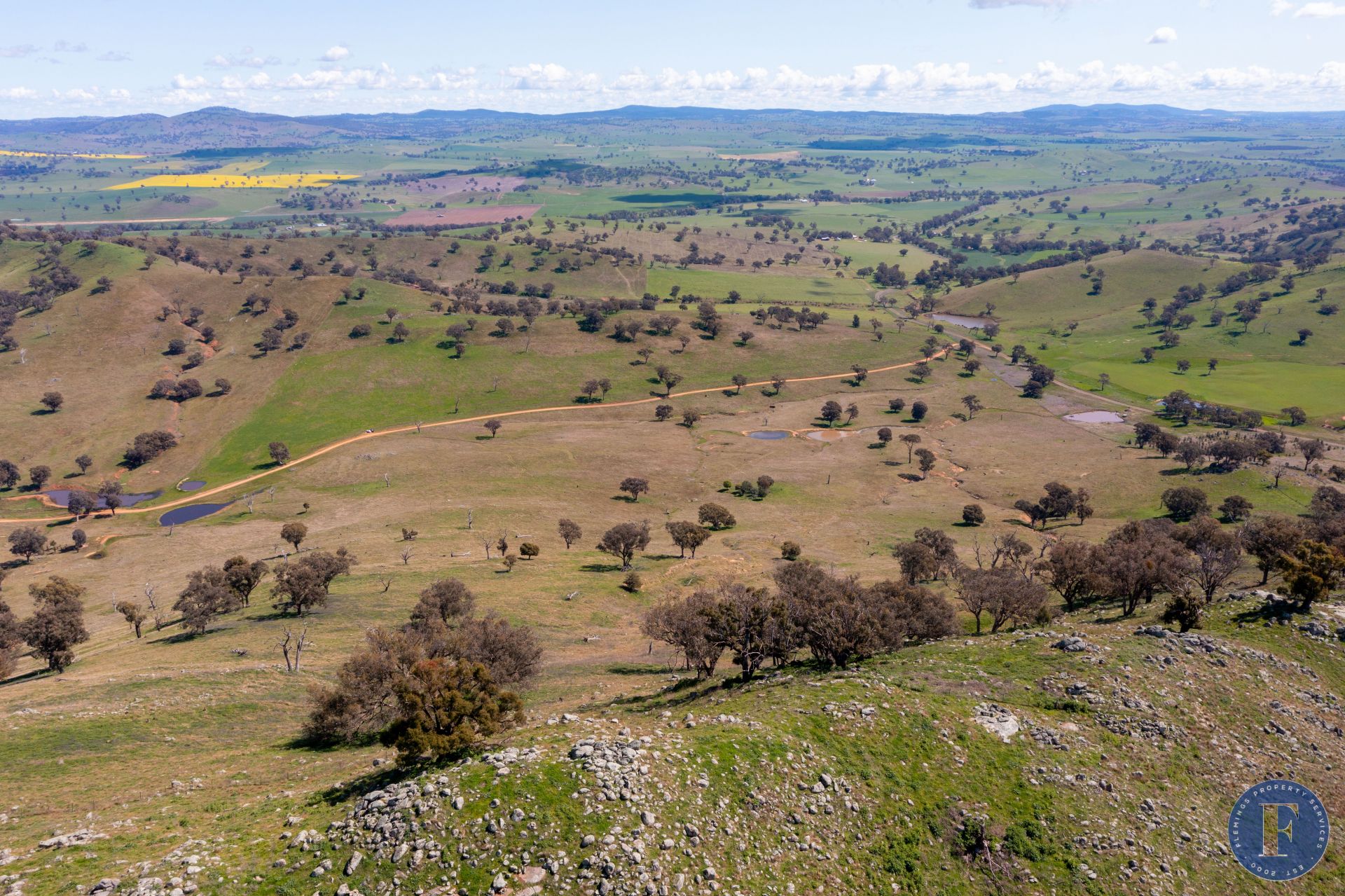 444 Hoares Lane, Coolac NSW, Coolac - Thumbnail 6