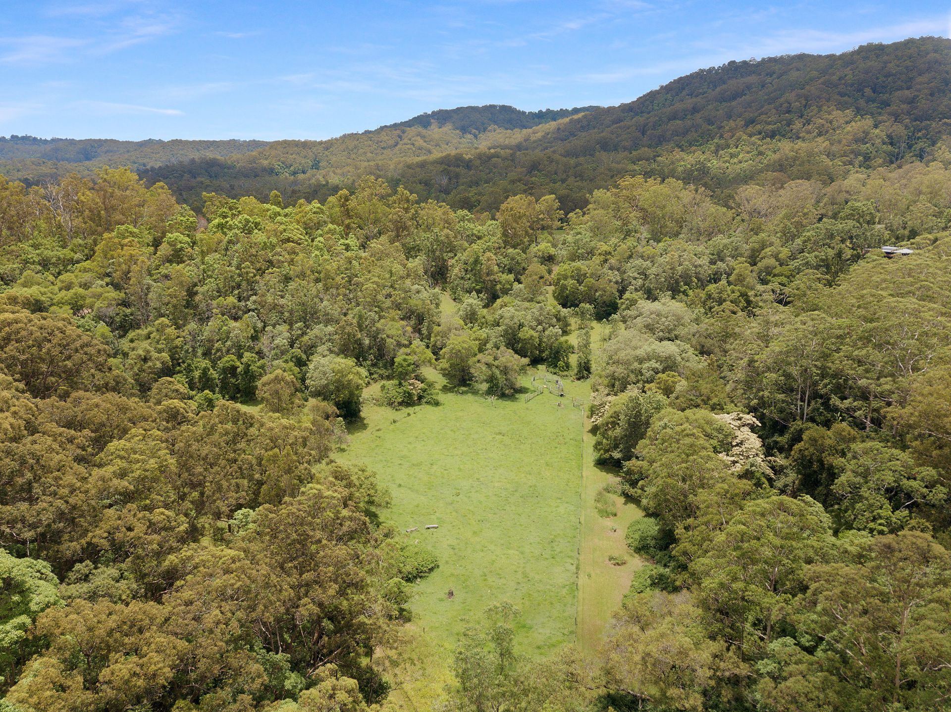 1064 Aherns Road Conondale QLD, Conondale - Thumbnail 3