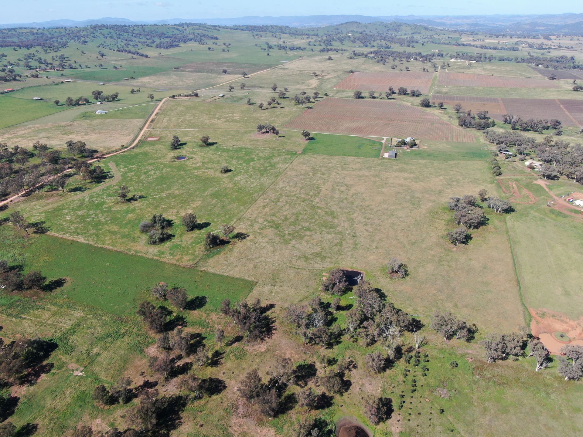 327 Springfield Lane, Mudgee, Mudgee - Thumbnail 4
