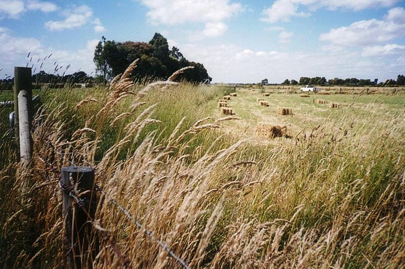 21 Beal Street, Birregurra, VIC, Birregurra - Thumbnail 4
