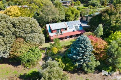 4
 
 
 
  
 
 
 2
 
 
 
  
 
 
 3
 
 
 
 
 
 
 
 101 Kelcey Tier Road, Spreyton TAS 7310, Spreyton - Thumbnail 2