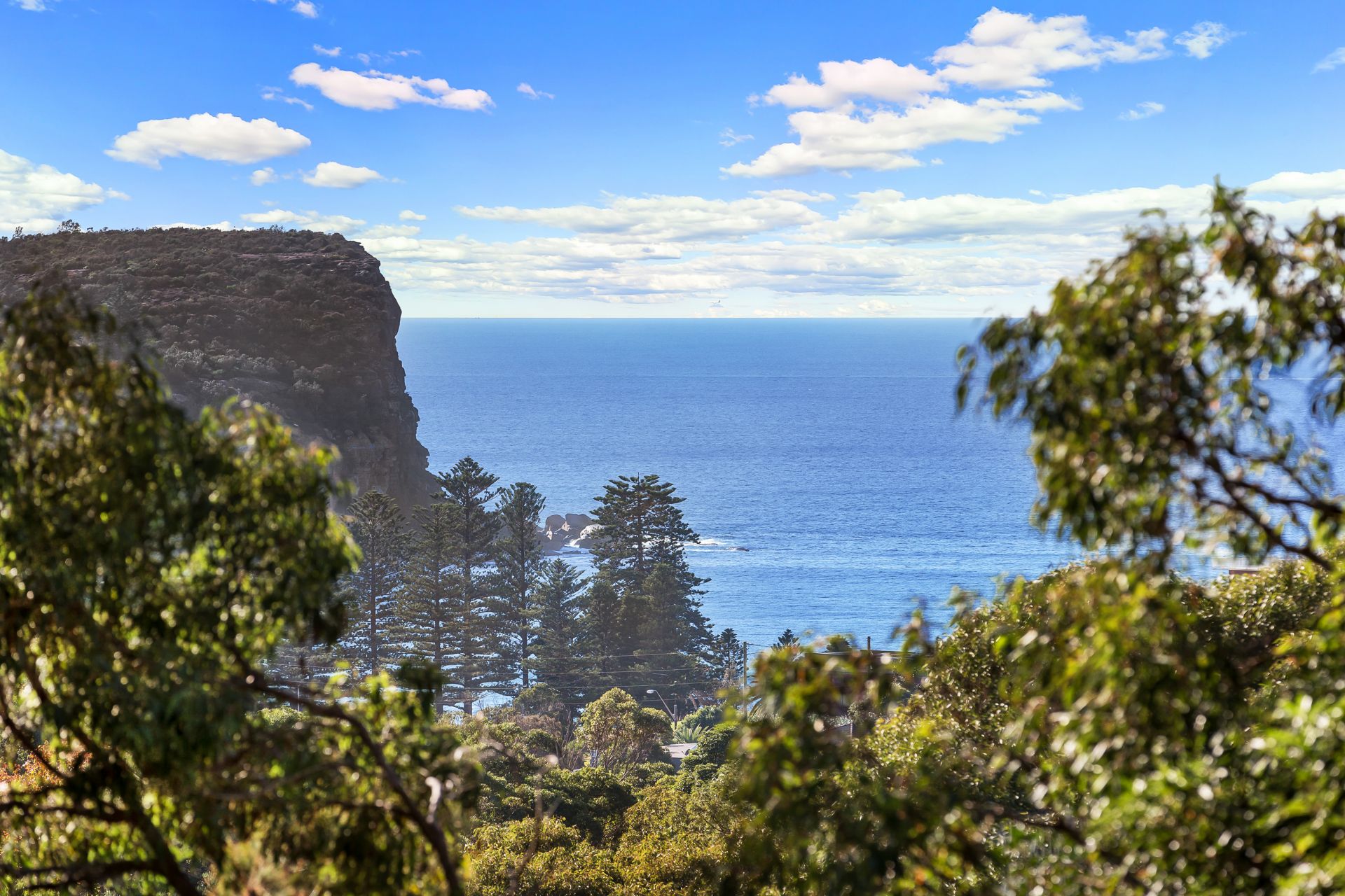 26 Palmgrove Road Avalon NSW, Avalon - Thumbnail 5