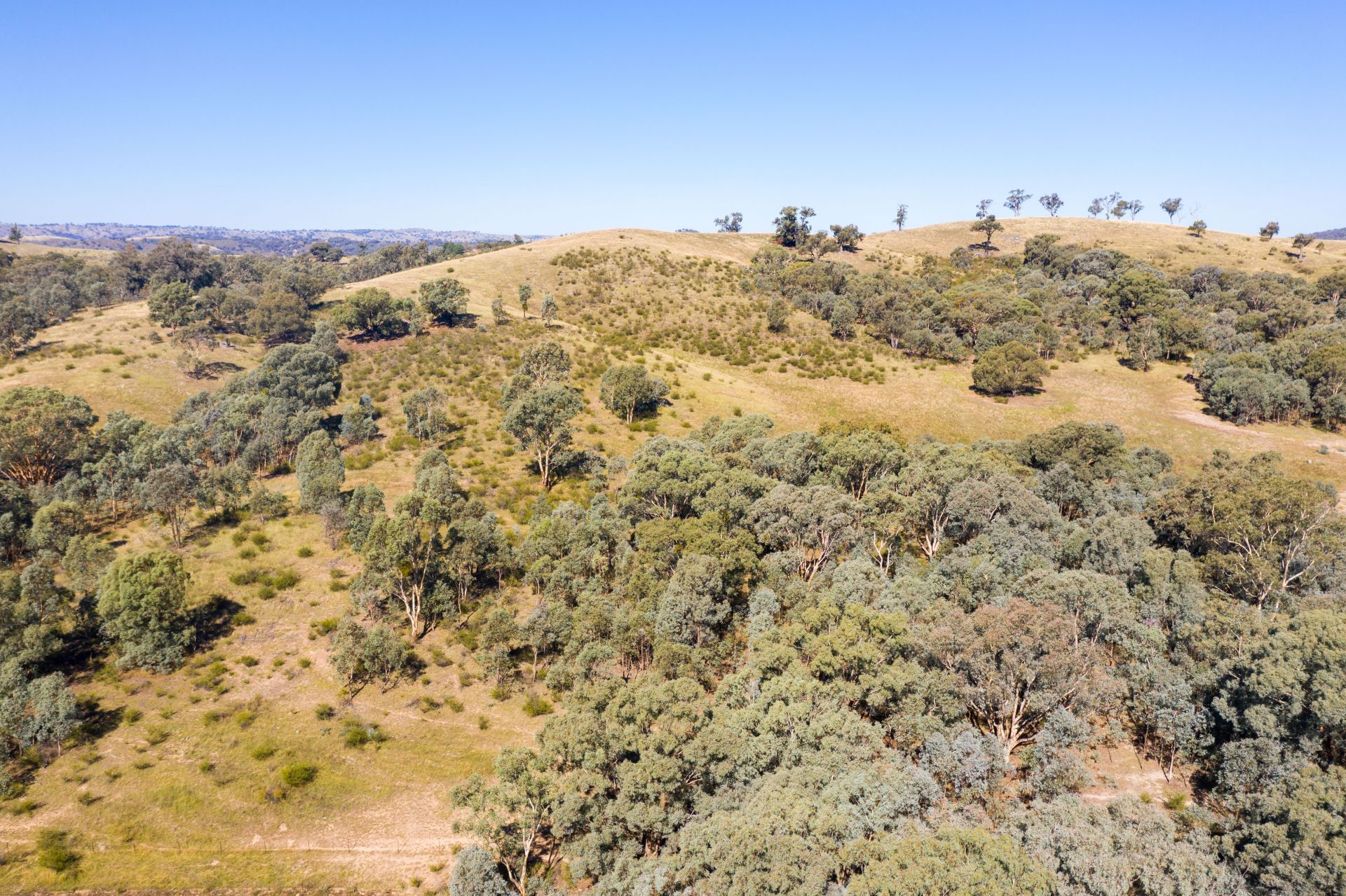 4 Old Wheeo Road, Taylors Flat NSW, Taylors Flat - Thumbnail 7