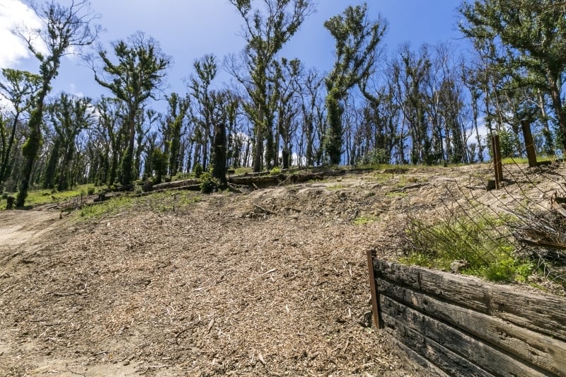 43 Karingal Drive, Wye River, VIC, Wye River - Thumbnail 3