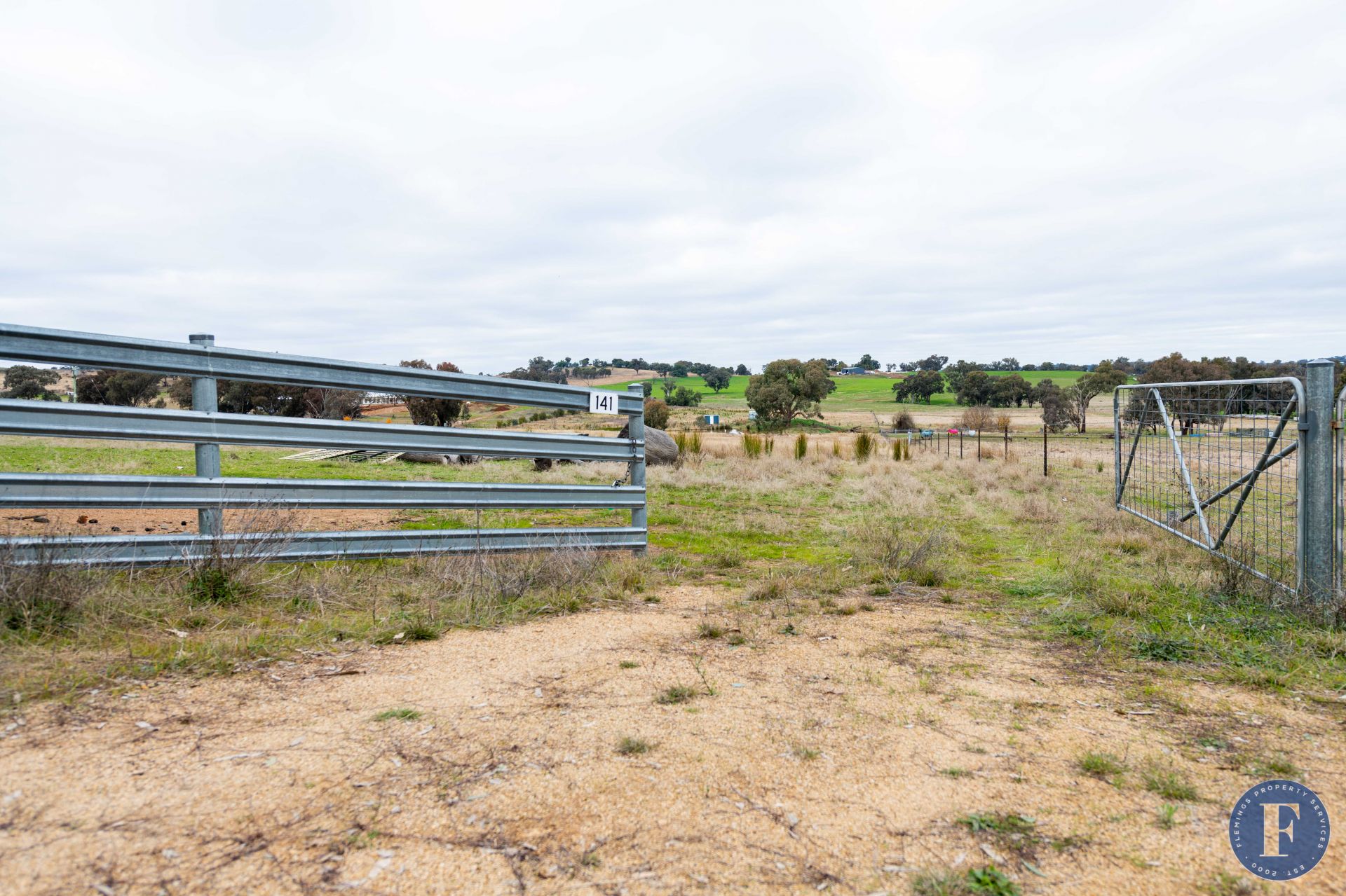 141 Forbes Lane, Young NSW, Young - Thumbnail 3