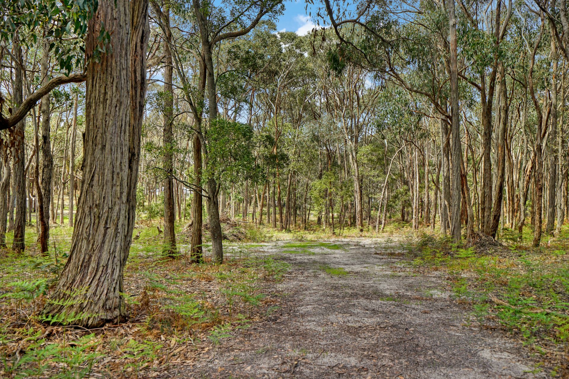 4/ Coates Road, Snake Valley, Snake Valley, Snake Valley - Thumbnail 2