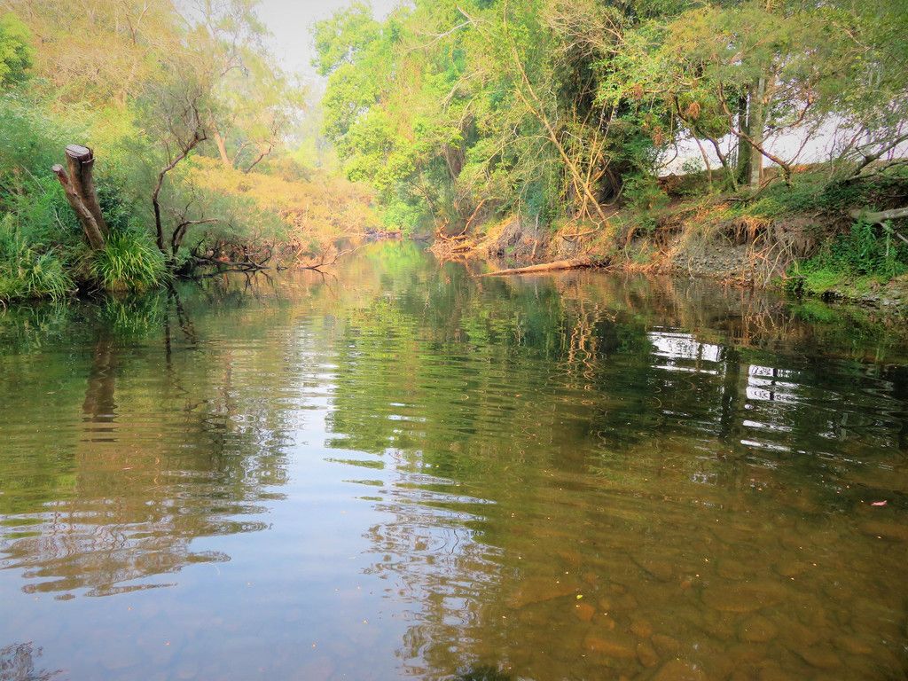 438 Upper Rollands Plains Rd, ROLLANDS PLAINS NSW 2441