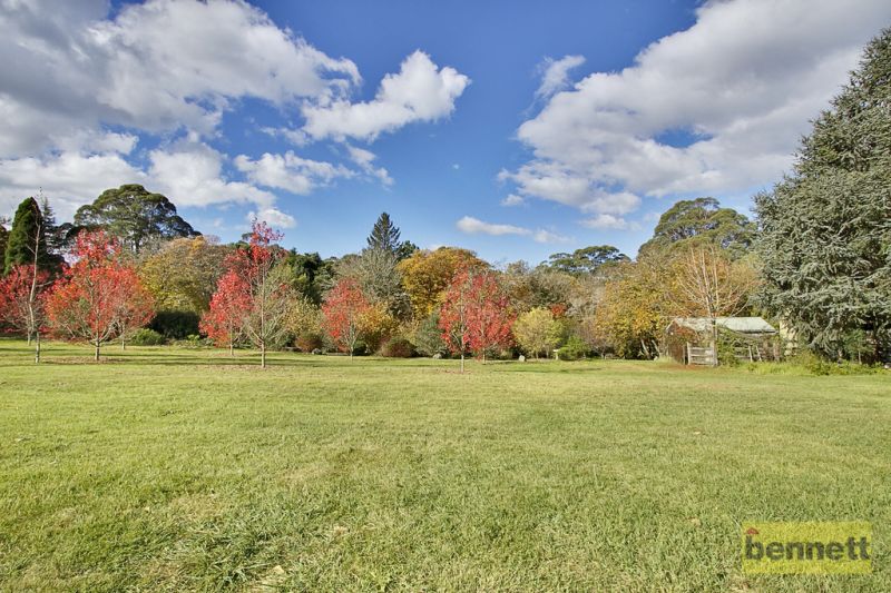 13 Rainbow Ravine Road, Mount Tomah - Thumbnail 3