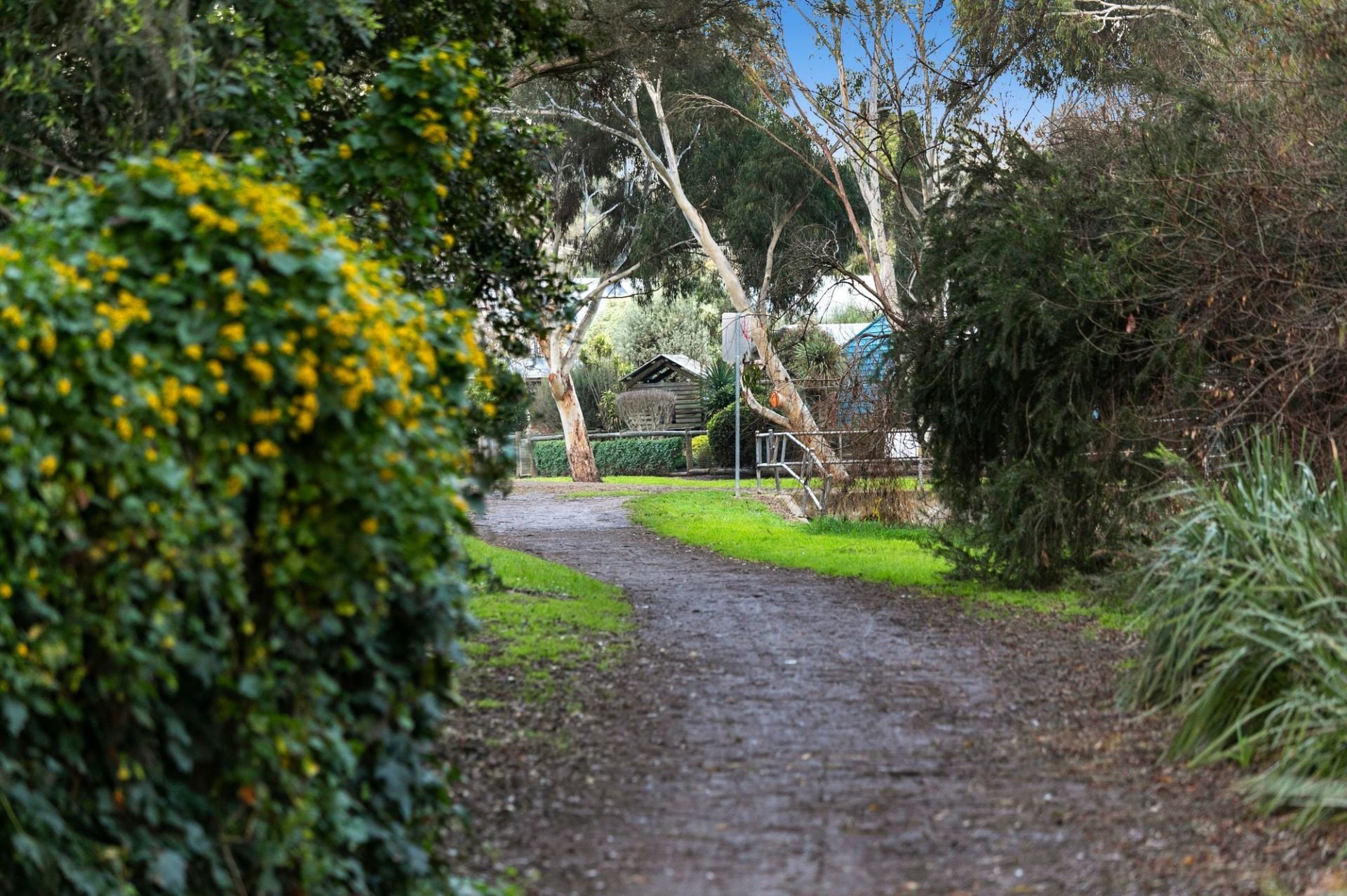 27-29 Kalinga Road Ocean Grove VIC, Ocean Grove - Thumbnail 7
