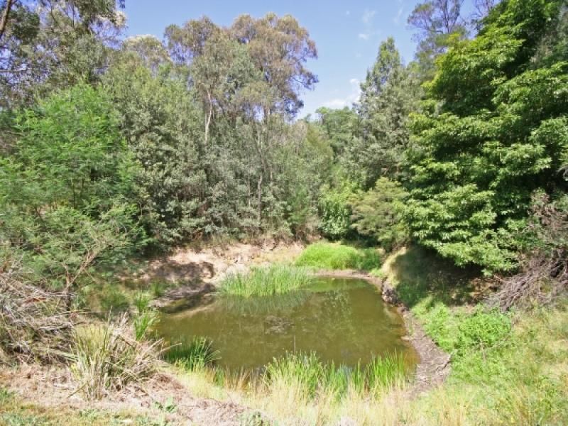 BOWEN MOUNTAIN, NSW, Bowen Mountain - Thumbnail 6