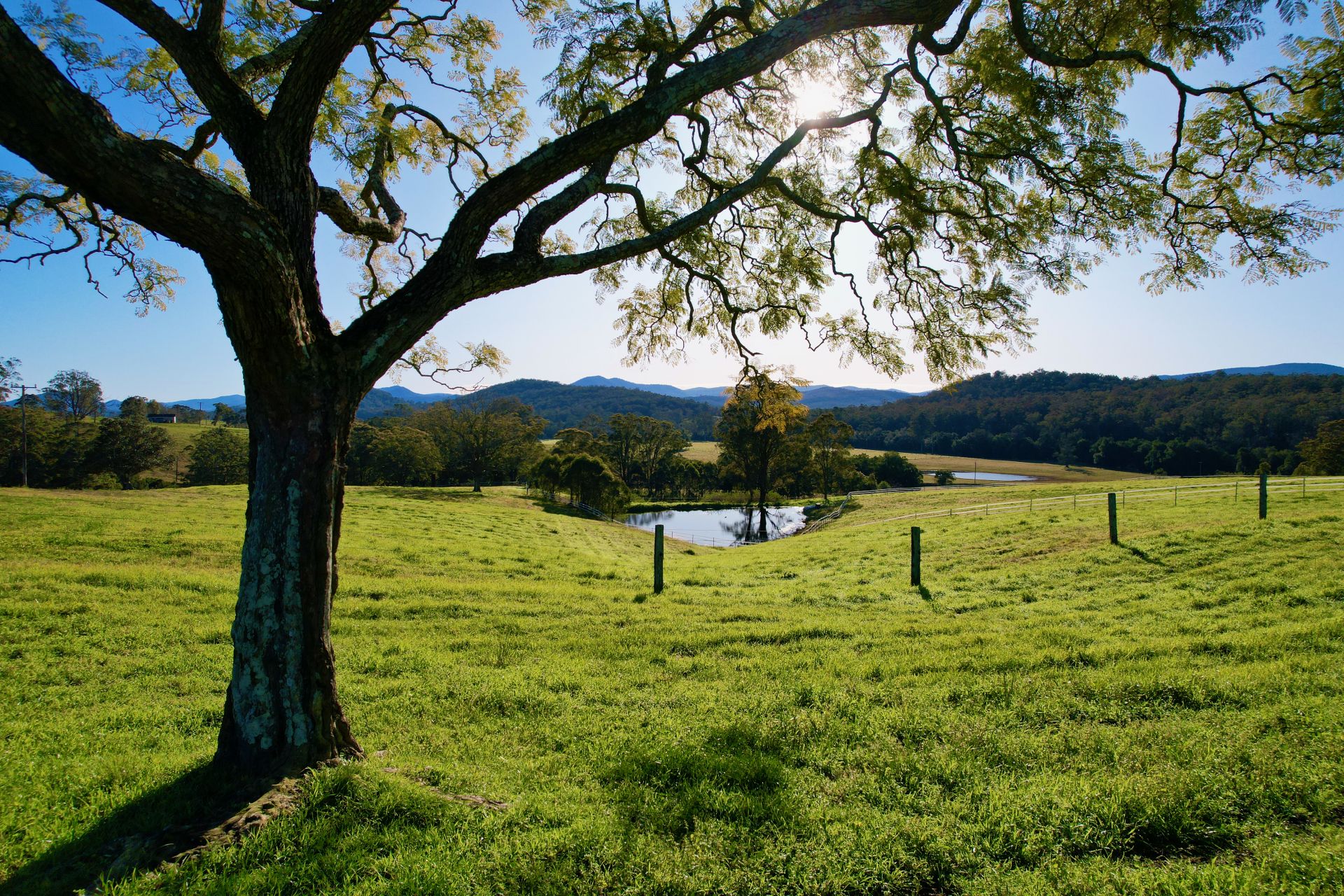 314 Booral Washpool Road Booral NSW, Booral - Image 1