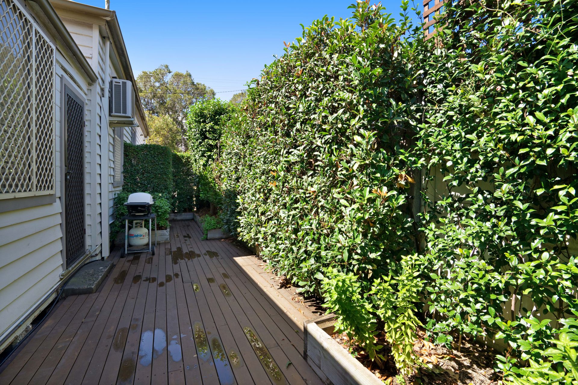 14 Cameron Street Hamilton NSW, Hamilton - Thumbnail 3