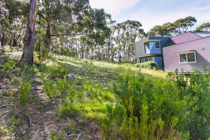11 Skyline Court, Lorne, VIC, Lorne - Thumbnail 3