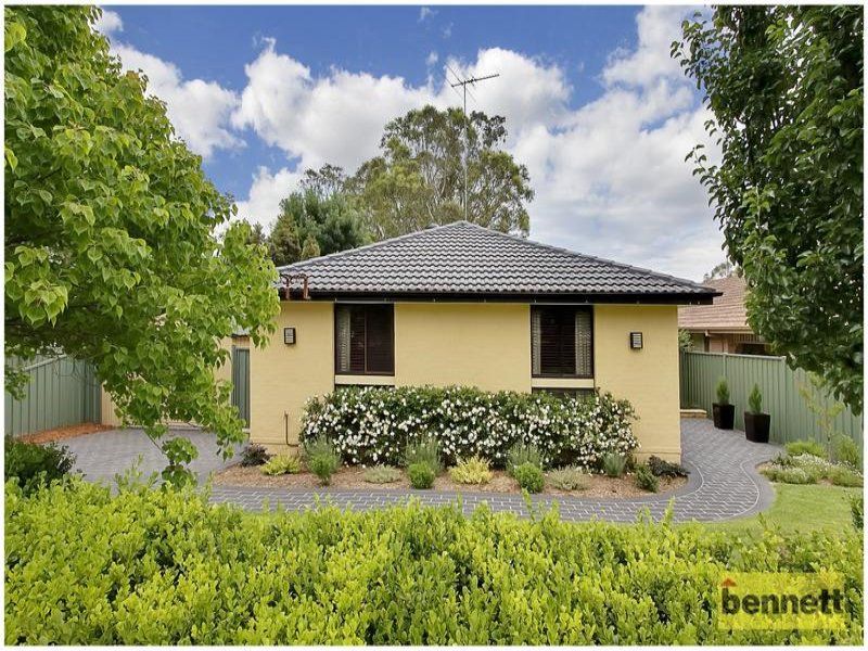 19A Monti Place, North Richmond - Thumbnail 4