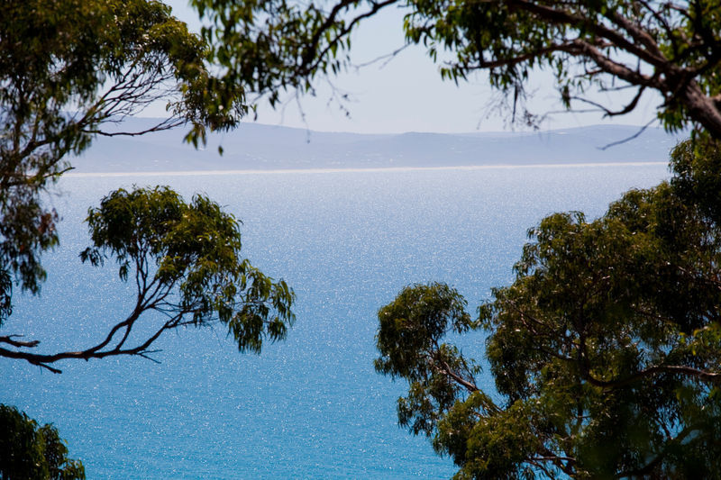 55 George Street, Lorne, VIC, Lorne - Thumbnail 4