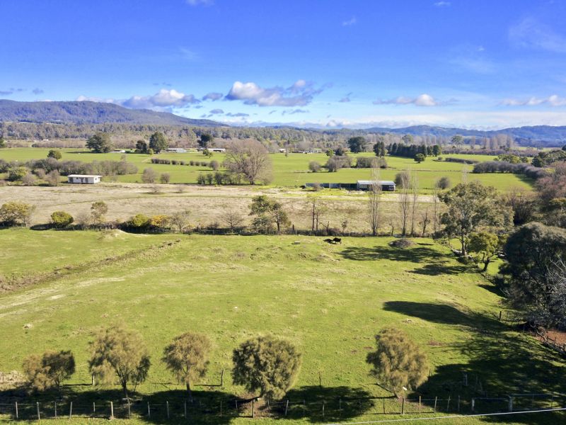 a/1 Hamilton Street, Latrobe, Latrobe - Thumbnail 8