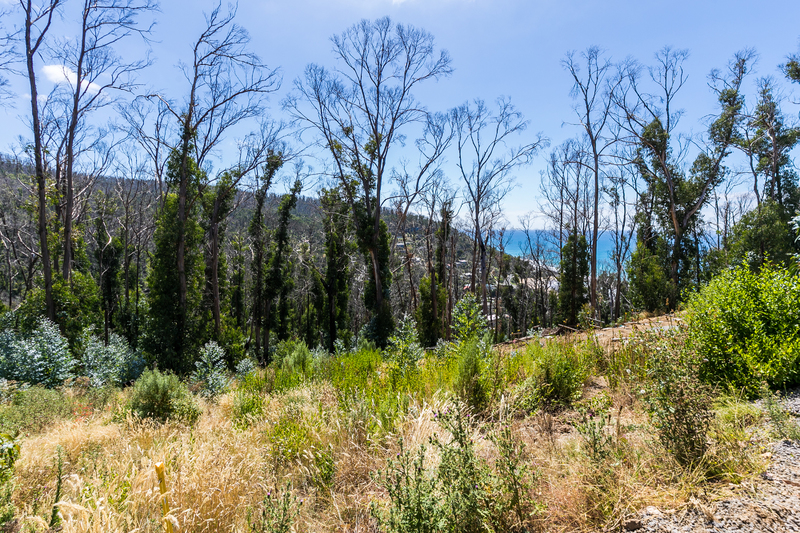 1 Dunoon Road, Wye River, VIC, Wye River - Thumbnail 2