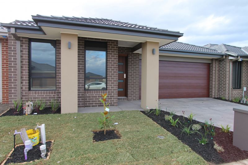 61 Bunting Crescent, Kalkallo
