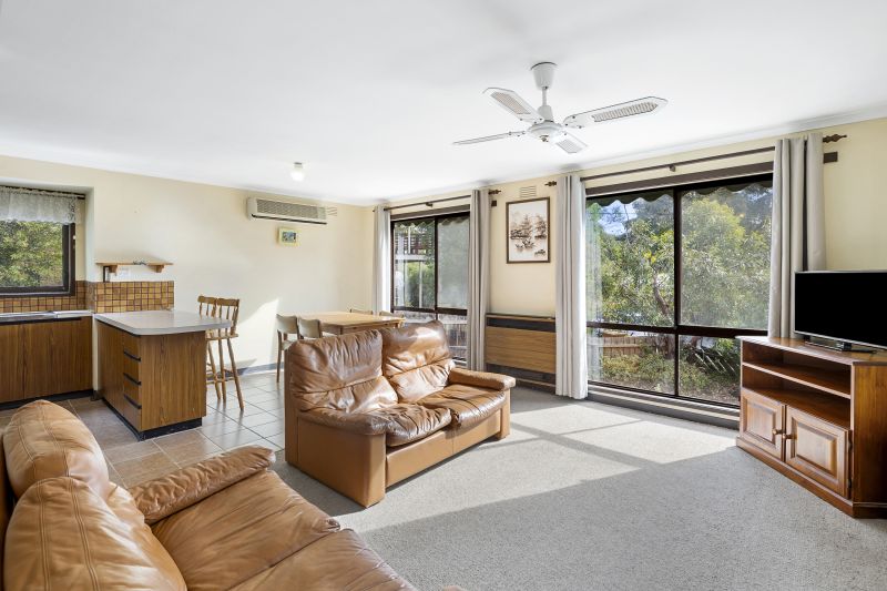 6 Birdie Avenue, Anglesea, VIC, Anglesea - Thumbnail 3