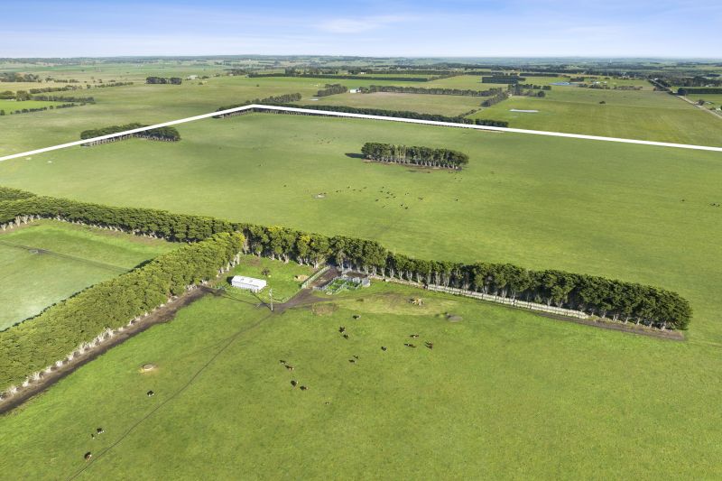 250 Collyers Road, Warncoort, VIC, Warncoort - Thumbnail 6
