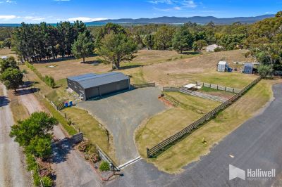 5 Herbert Place, Port Sorell, Port Sorell - Thumbnail 2