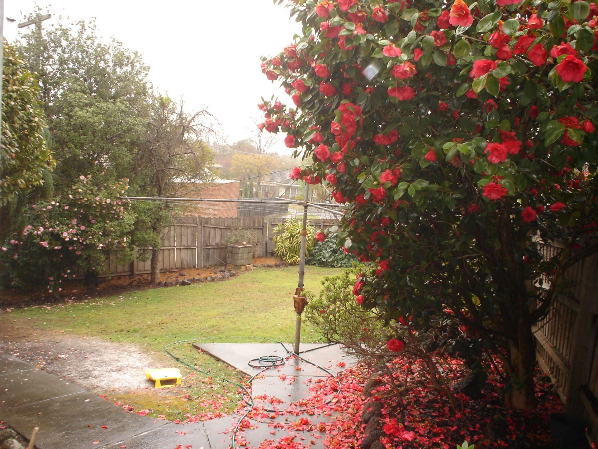 *Great sized 3 Bedroom Family Home *