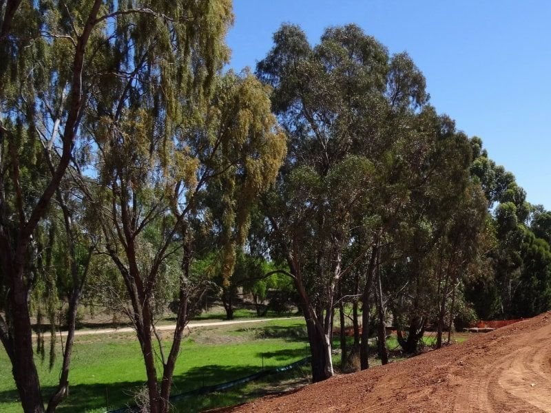 Lot 29 Curnow Court Evanston Park 5116