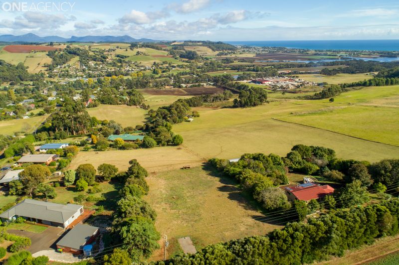 One Agency Collins Real Estate