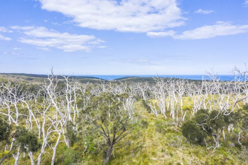 1010 Lighthouse Road, Cape Otway, VIC, Cape Otway - Thumbnail 7