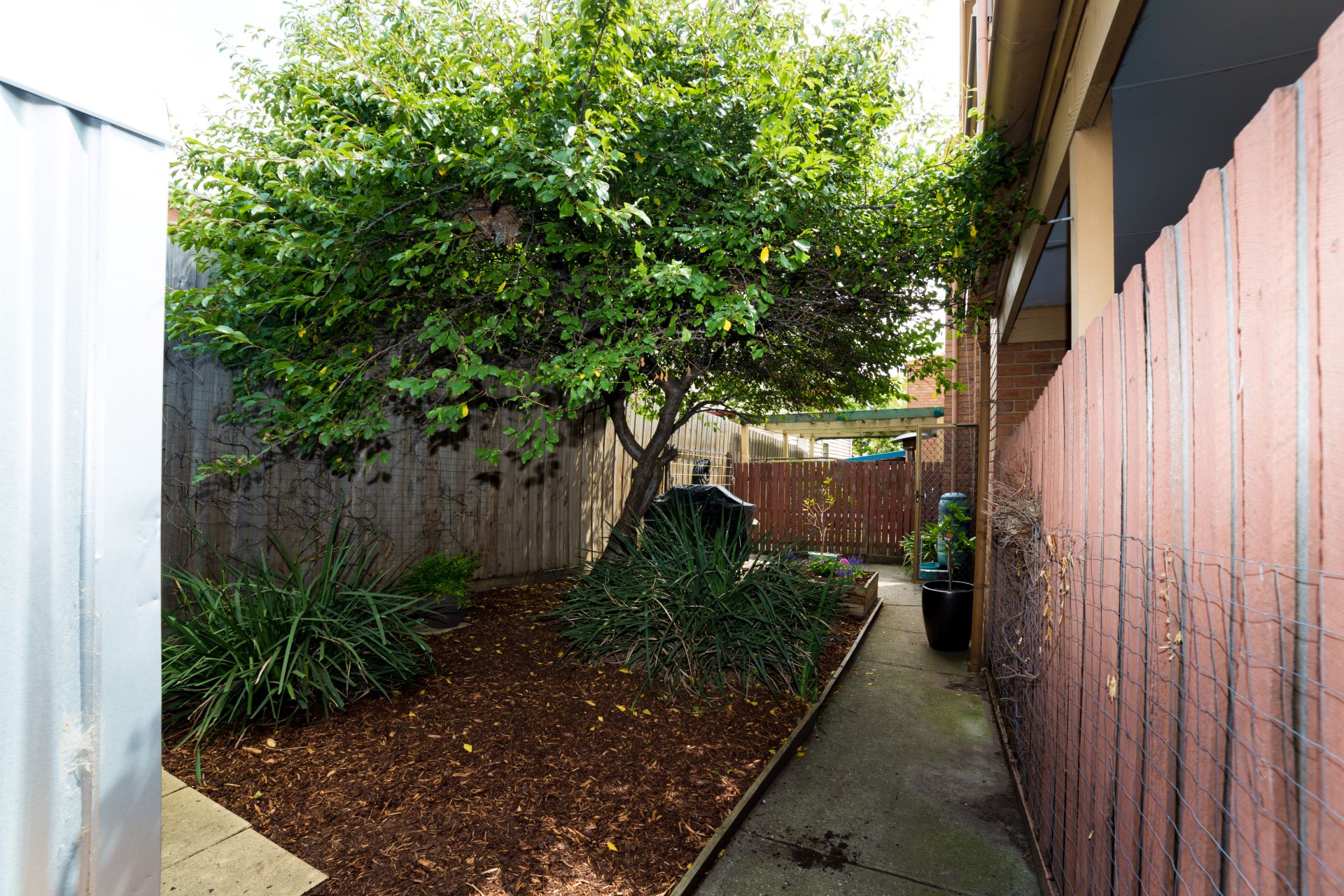 8/37 Ballarat Road, Footscray - Thumbnail 6