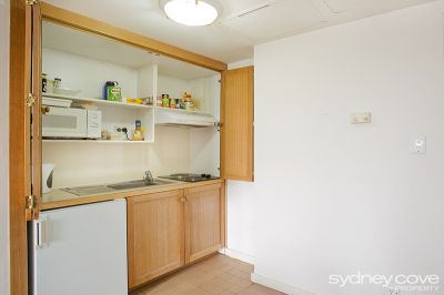 305/19 Bayswater Road, POTTS POINT NSW 2011, Potts Point - Thumbnail 3
