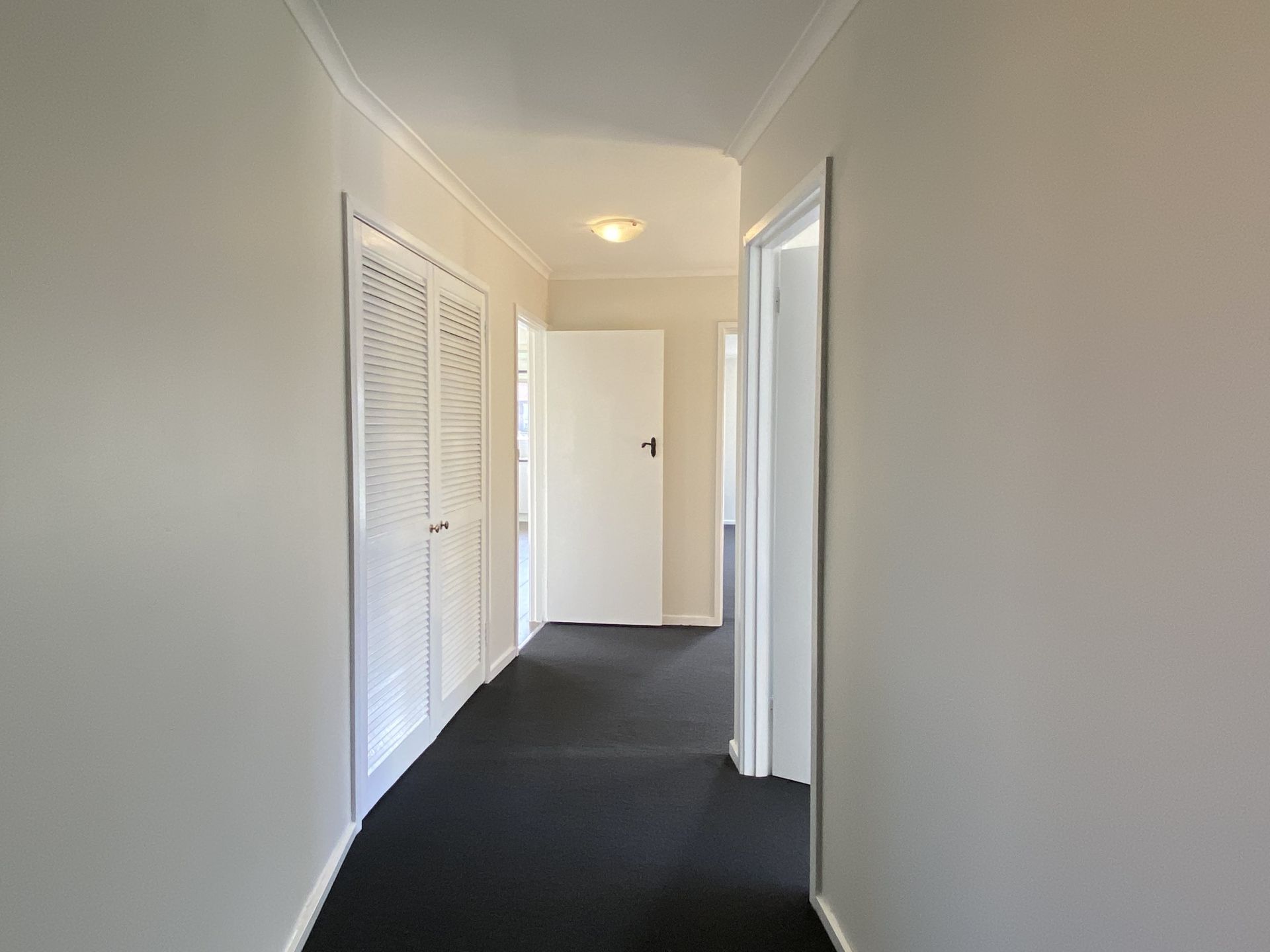 Renovated Delight!