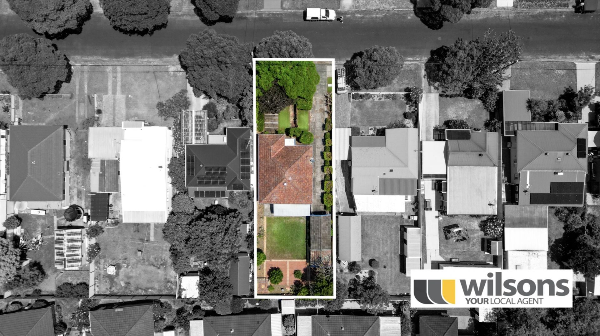 17 Terry Avenue Woy Woy NSW, Woy Woy - Thumbnail 4