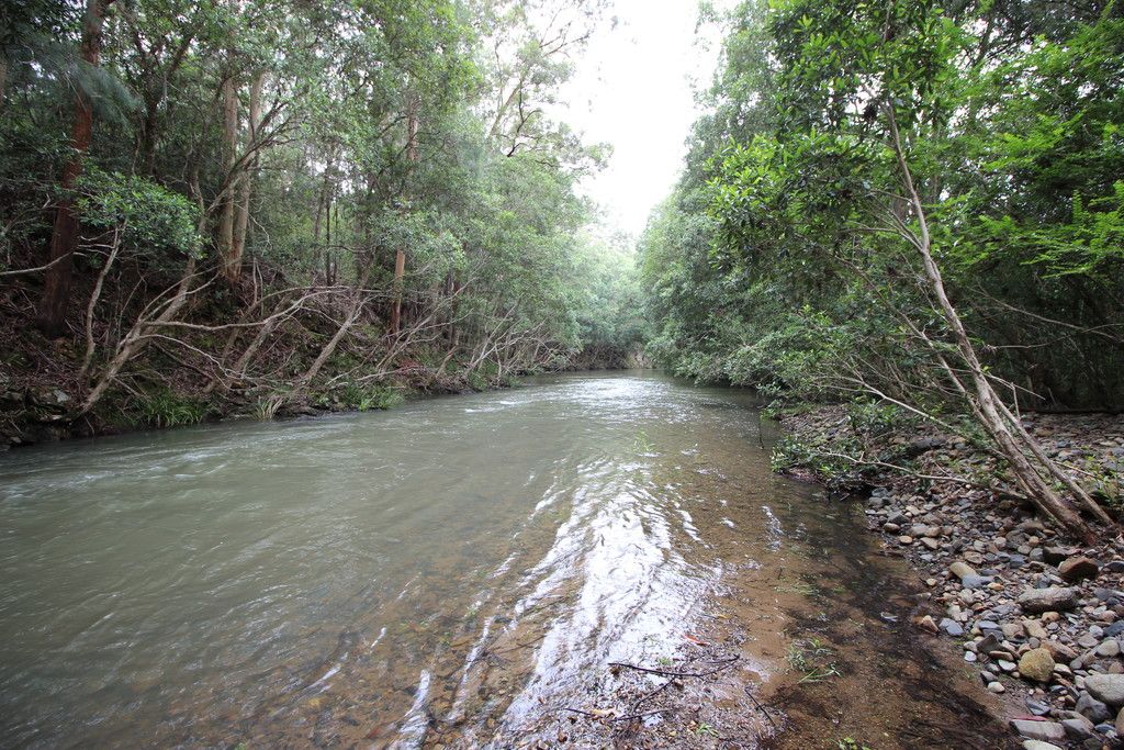 2595 Pappinbarra Rd, PAPPINBARRA NSW 2446