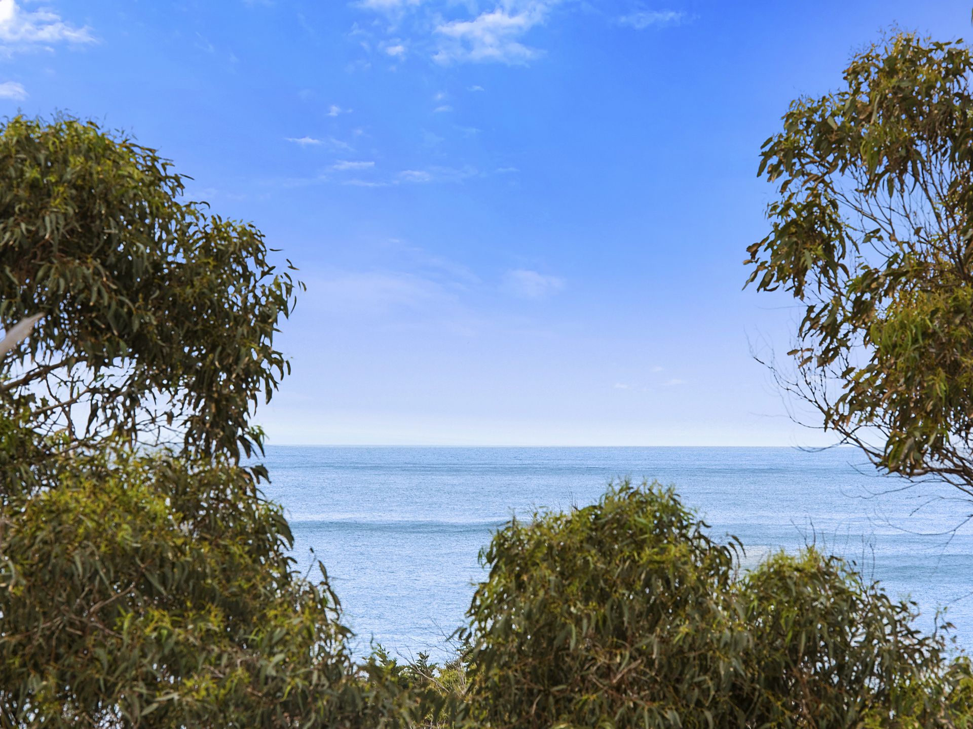 12 Treetops Terrace, Skenes Creek - Thumbnail 7