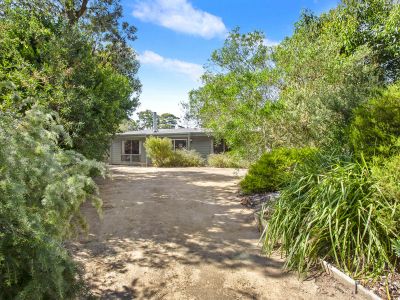 Here at last! Beach just around the corner and a home on 1107m2 among the coastal banksias, wattles and ti-trees