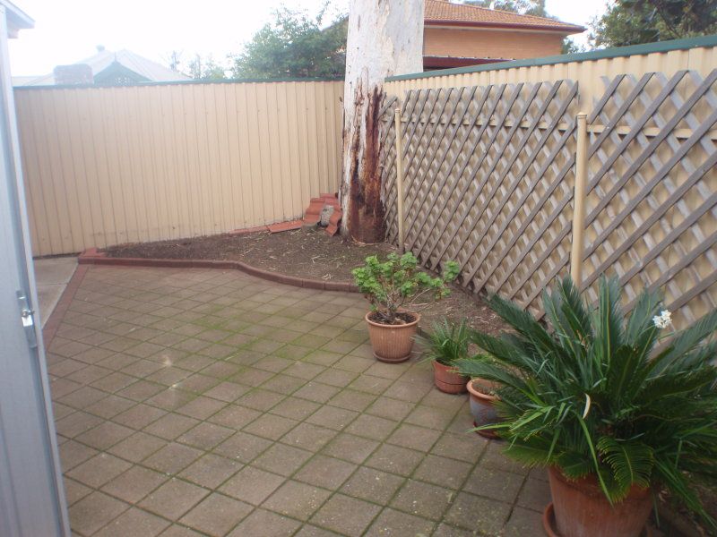 3/20 Capper Street Camden Park 5038