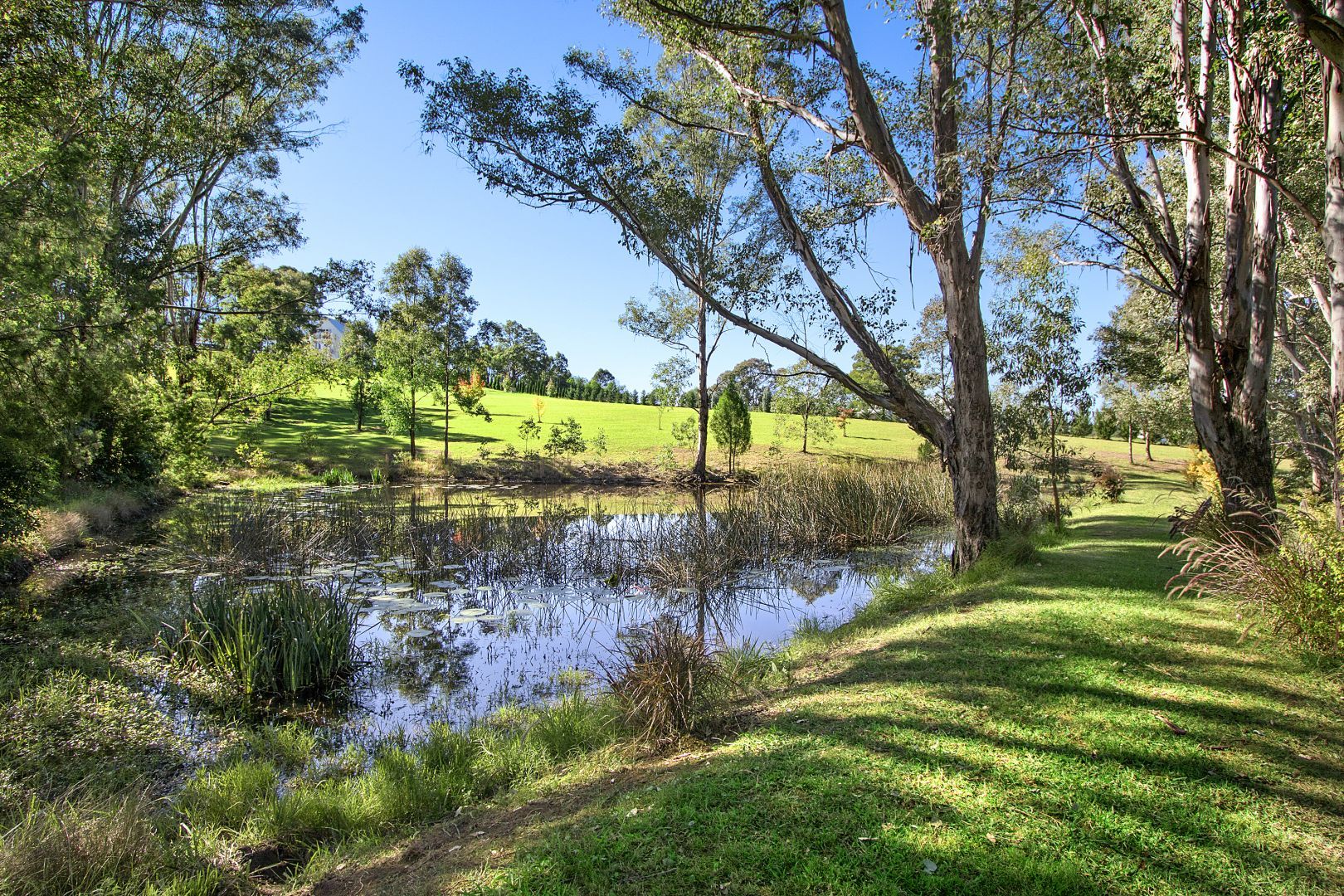 Real Estate For Lease 570A Slopes Road The Slopes , NSW