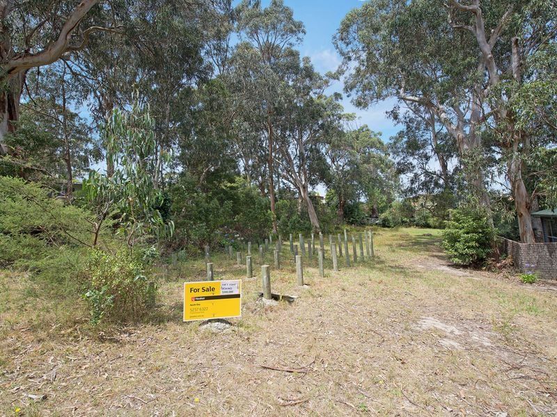 36 Old Coach Road, Skenes Creek, VIC, Skenes Creek - Thumbnail 7