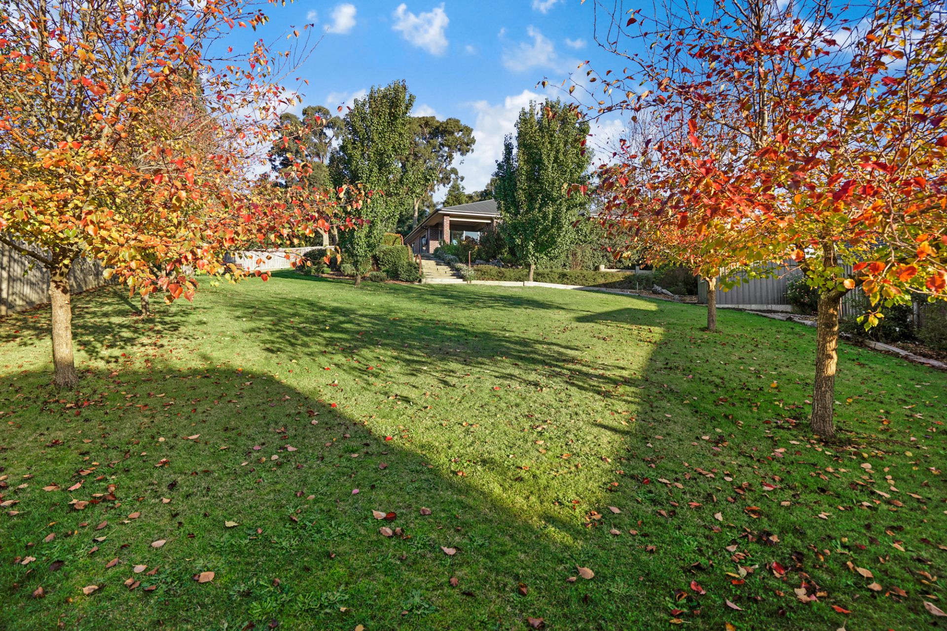 6 Ninox Court, Brown Hill, Brown Hill - Thumbnail 2