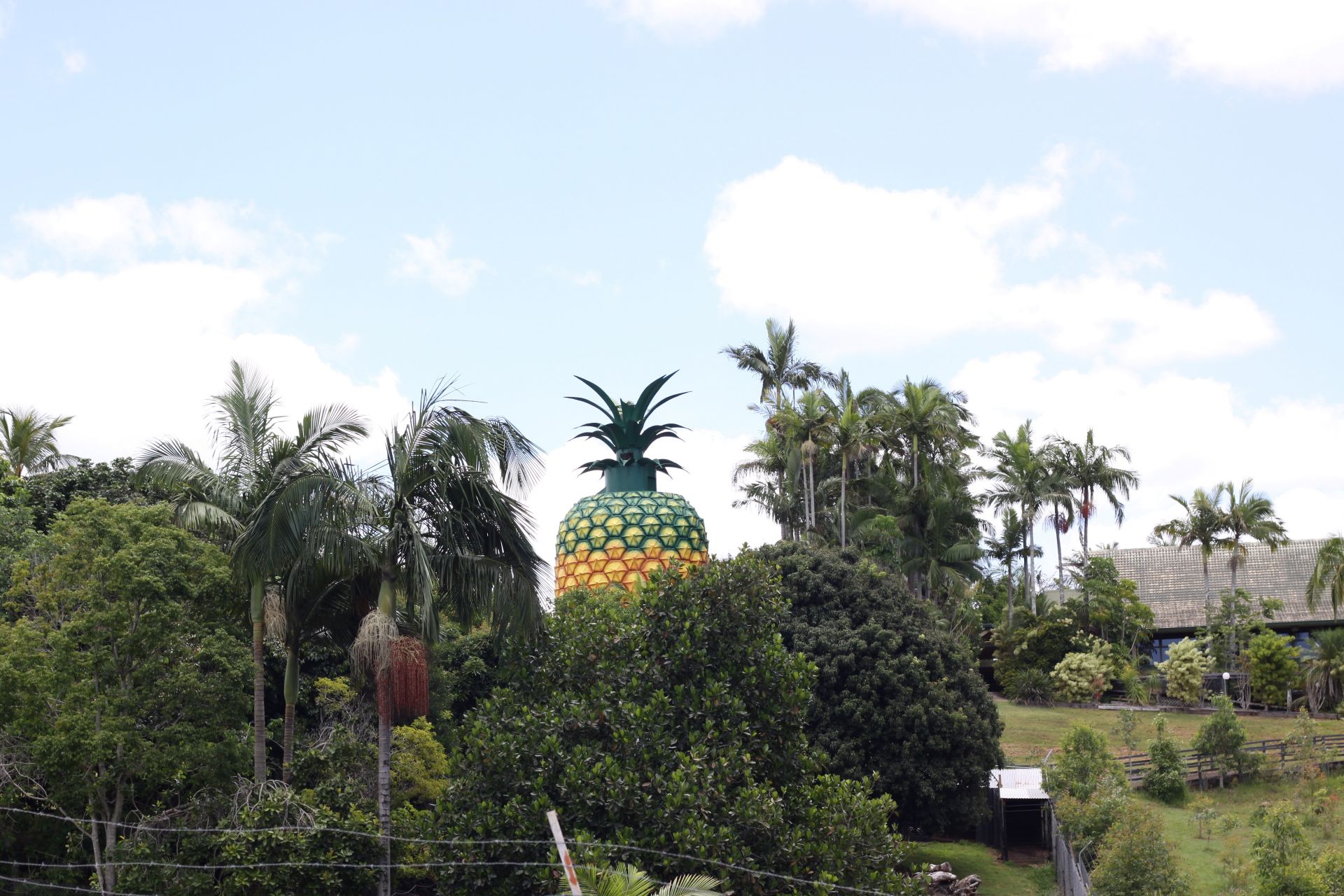 65 Lachlan Avenue Nambour QLD, Nambour - Thumbnail 5