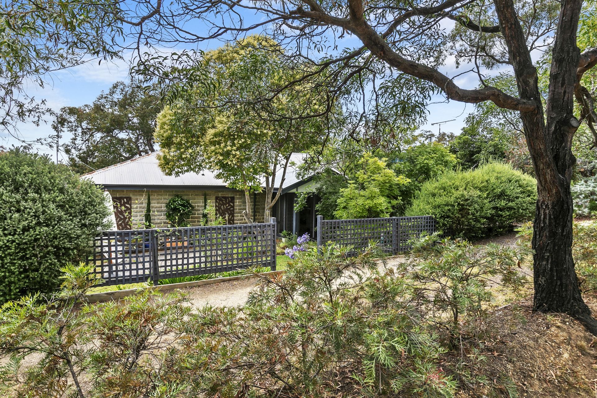 16 Charles Street, Anglesea - Thumbnail 2