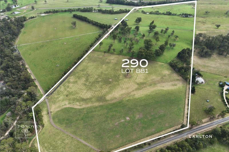 Properties For Sale Carlton Real Estate