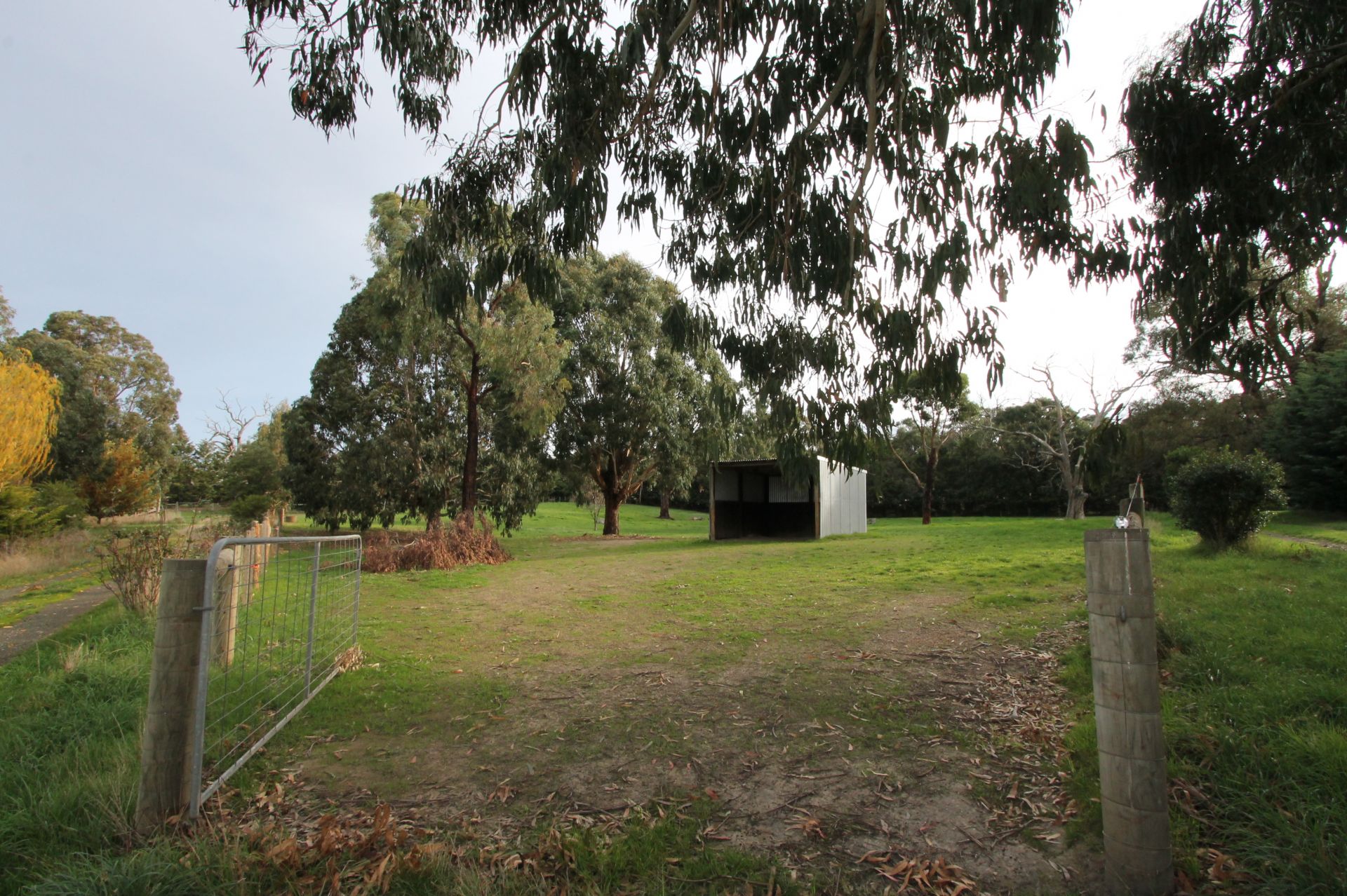 RARE LEASING OPPORTUNITY - 20 ACRES - 8.09 ha