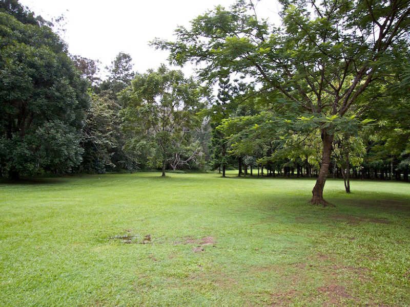 1110 Tallebudgera Creek Road TALLEBUDGERA VALLEY QLD, Tallebudgera Valley - Thumbnail 7