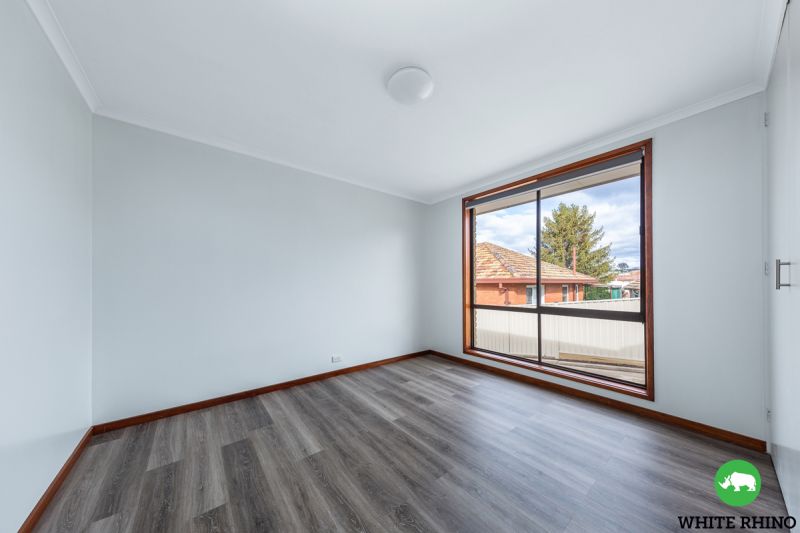 29a-mcintosh-street-queanbeyan-white-rhino-property