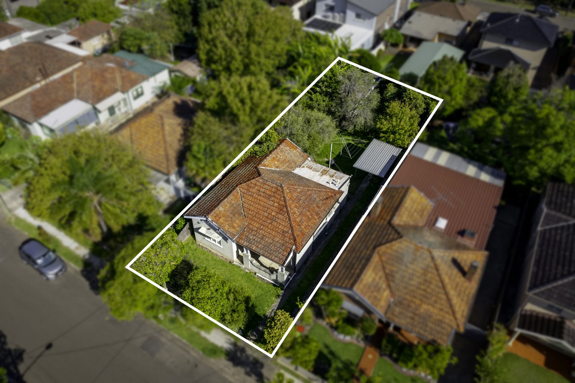 26 The Causeway, Strathfield South, South - Thumbnail 3