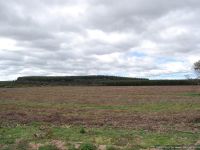 STOCKDALE VIC, Stockdale - Image 1