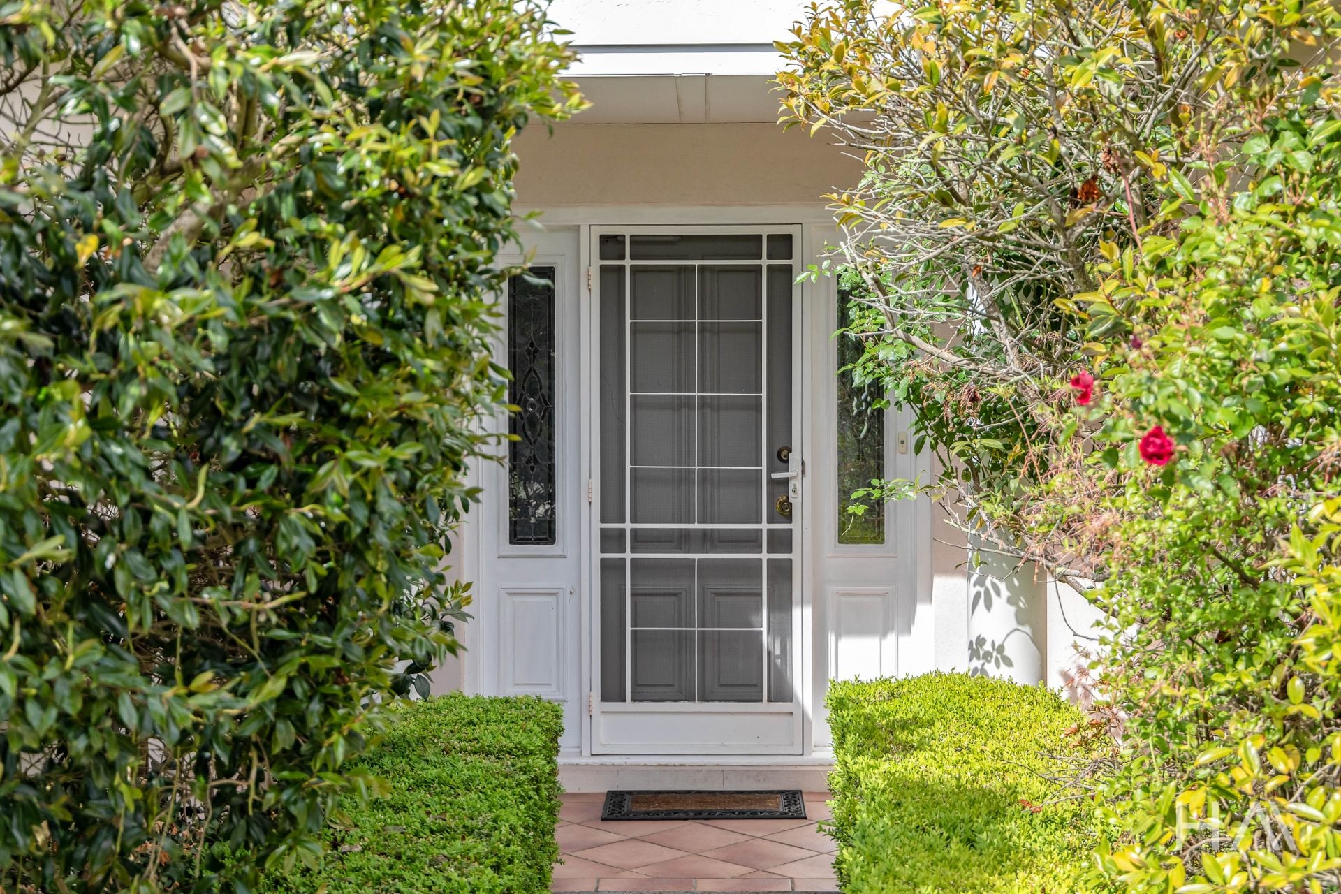 33 Armidale Street Norwood, Norwood - Thumbnail 5